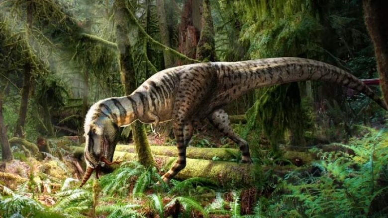 Fossilized Stomach Contents Reveal What Young Tyrannosaurs Ate