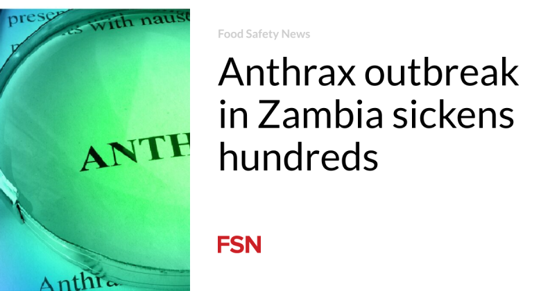 Anthrax break out in Zambia sickens hundreds