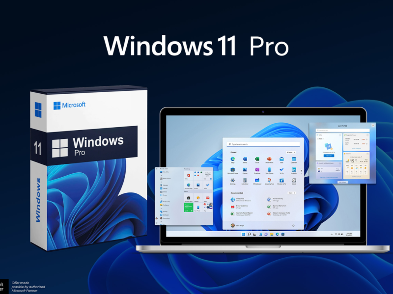 Rating Microsoft Windows 11 Pro for simply $25 this Christmas