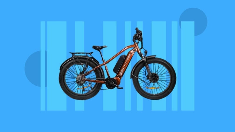 Finest Holiday Deals on E-Bikes: Save Hundreds on Top Brands Like BirdBike, Velowave and More