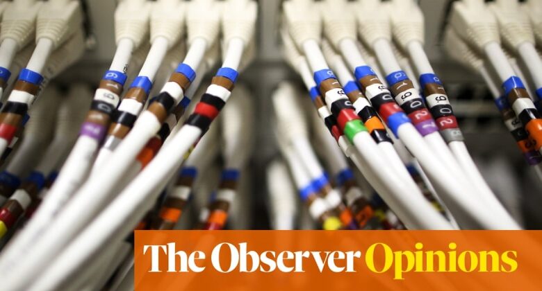 A world saturated with AI most likely would not benefit us– or the world|John Naughton