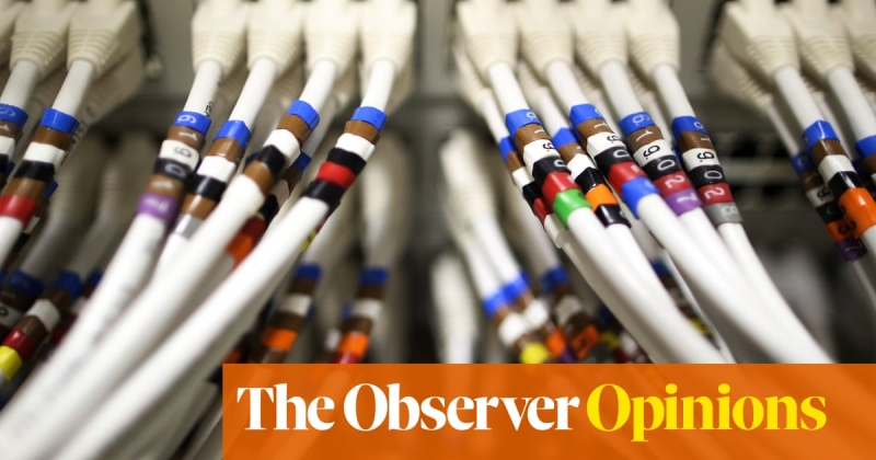 A world saturated with AI most likely would not benefit us– or the world|John Naughton