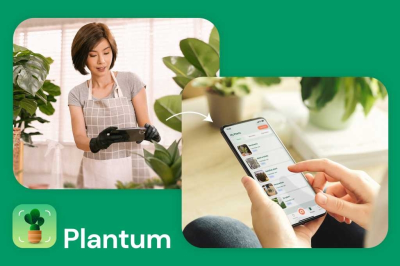 Brand-new year, brand-new plants– this AI tool will assist you take much better care and it’s $45 off