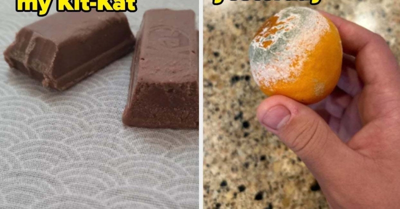 14 Innocent People Who Were Brutally Disappointed By Food