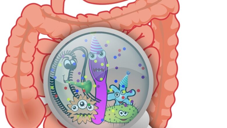 Gut microbiome: Meet Asaccharobacter celatus– the brain health bug