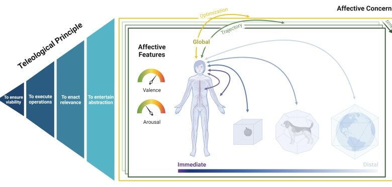 Worldwide taskforce of researchers establish a unifying structure for the ‘Human Affectome’