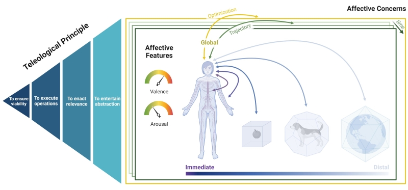 Worldwide taskforce of researchers establish a unifying structure for the ‘Human Affectome’