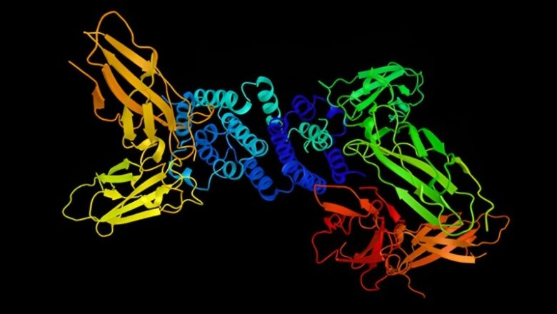 Interferon-gamma drives brain pathology in a mouse design of numerous system atrophy