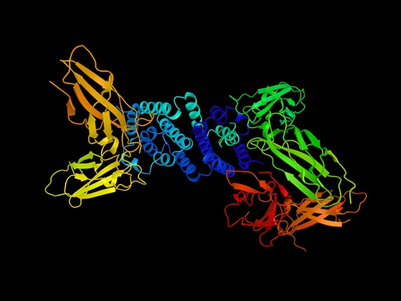 Interferon-gamma drives brain pathology in a mouse design of numerous system atrophy