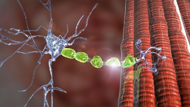 Unique Anti-CD40L Antibody Slows New Brain Lesions in Relapsing MS