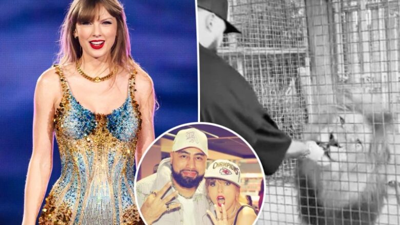 Hear Taylor Swift sweetly motivate Travis Kelce’s friend Ross to feed a lion in Sydney