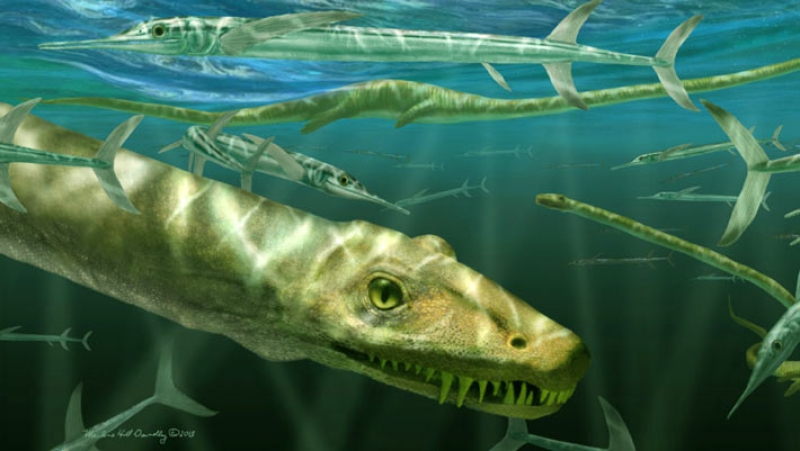 Dinocephalosaurus was Fully Marine Reptile and Even Gave Birth at Sea, Paleontologists Say