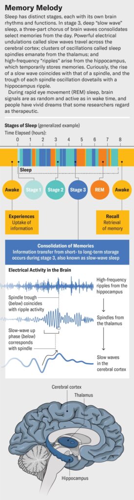 How Sleep Engineering Could Help Heal the Brain