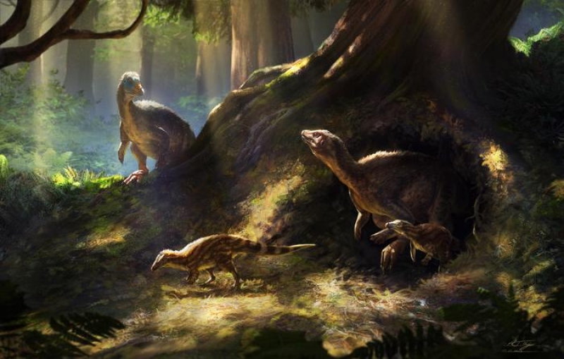 A Chicken-Like Dinosaur With Super Senses Is Finally Gets the Attention It Deserves