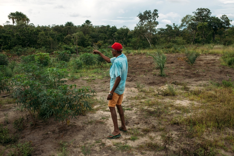 Who’s behind the damage of Brazil’s Cerrado?