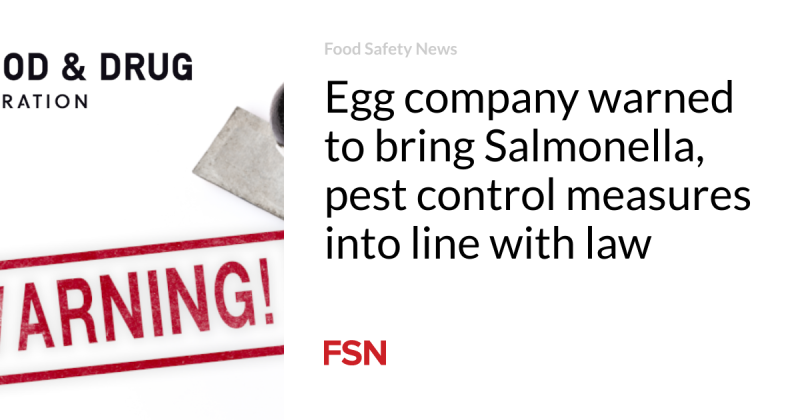 Egg business alerted to bring Salmonella, bug control determines into line with law