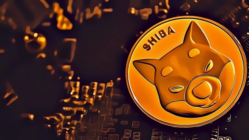 Shiba Inu Price Takes A Dip Amid Other Market Volatility