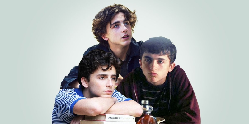 Every Timothée Chalamet Movie, Ranked