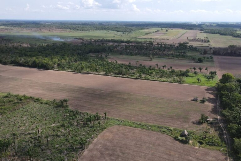 Bolivia’s El Curichi Las Garzas secured location taken control of by land-grabbers