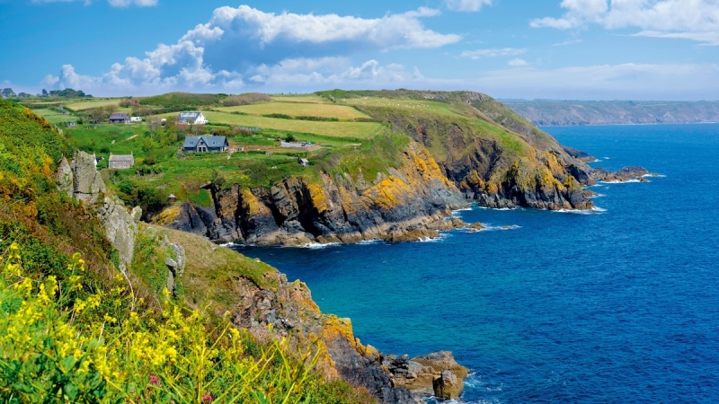 Searching for wildlife on a one-day cruise off the coast of Cornwall, UK