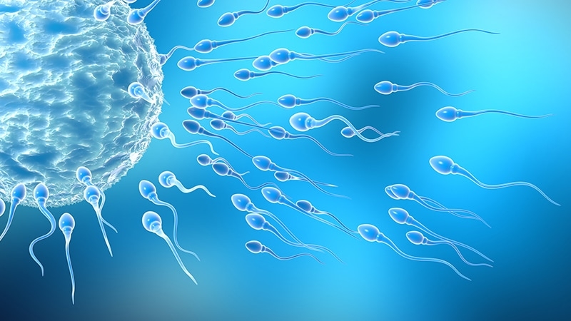 GLP-1s’ Next Target: Male Infertility?