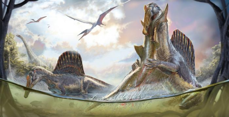 With Stubby Legs, the Spinosaurus Might Have Hunted In or Around Water