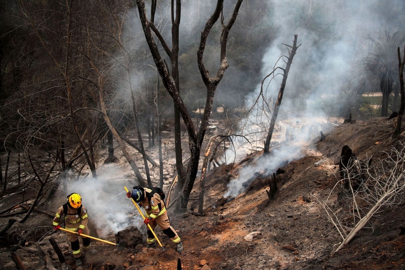 Termination or adjustment? The pester of wildfires in Chile is a caution for our future