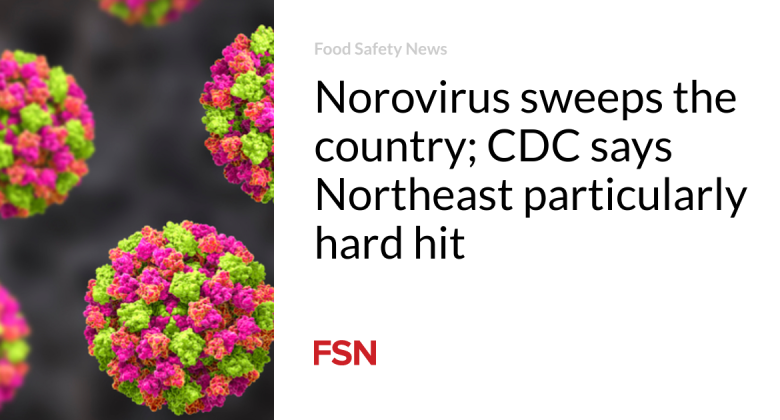 Norovirus sweeps the nation; CDC states Northeast especially hard struck