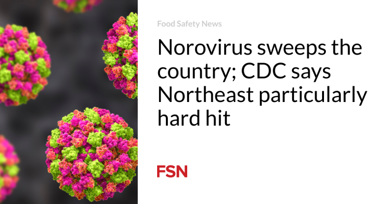 Norovirus sweeps the nation; CDC states Northeast especially hard struck