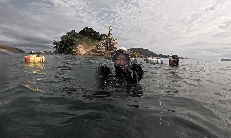 The Plight of Japan’s Ama Divers