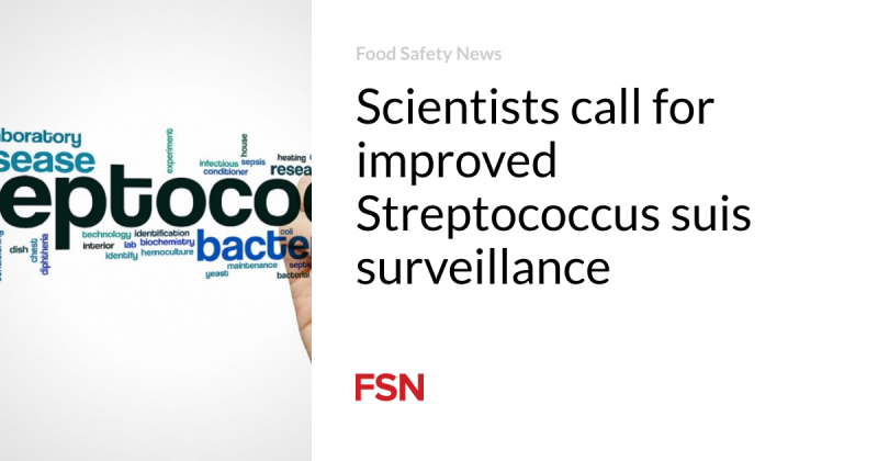 Researchers require enhanced Streptococcus suis security