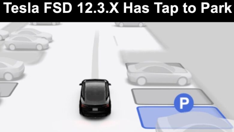 Tesla New FSD Update With Automatic Parking