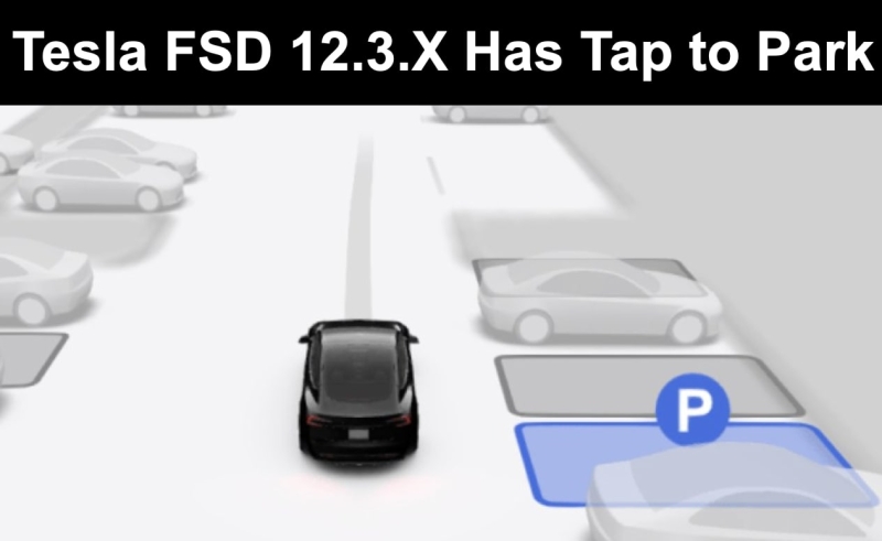 Tesla New FSD Update With Automatic Parking