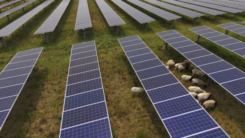 Rule Energy gets approval for 764MW solar tasks