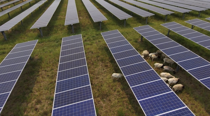 Rule Energy gets approval for 764MW solar tasks