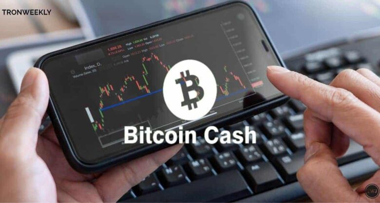 Bitcoin Cash Eyes Historic Leap: Analyst Forecasts Game-Changing Breakout