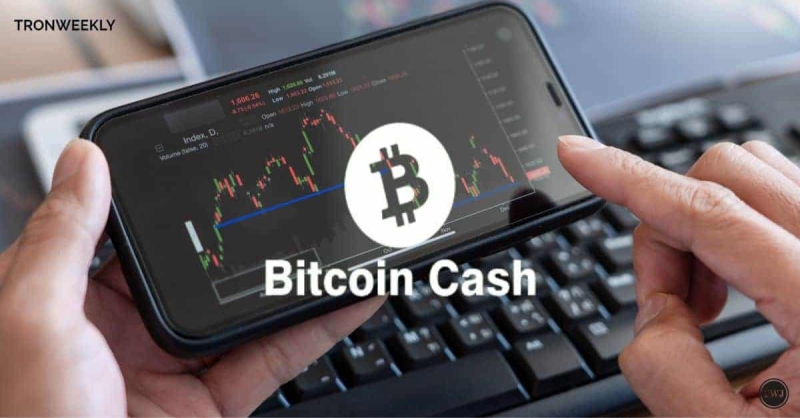 Bitcoin Cash Eyes Historic Leap: Analyst Forecasts Game-Changing Breakout