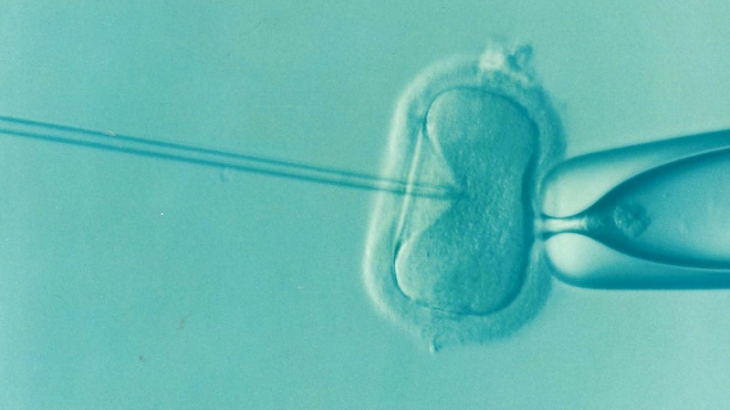 Alabama passes IVF defense law after outcry over court judgment