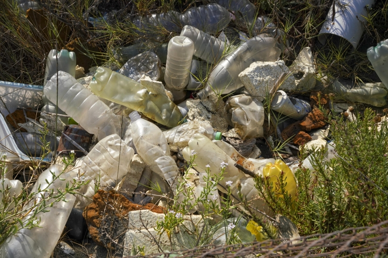 Research study raises concerns about plastic contamination’s result on heart health