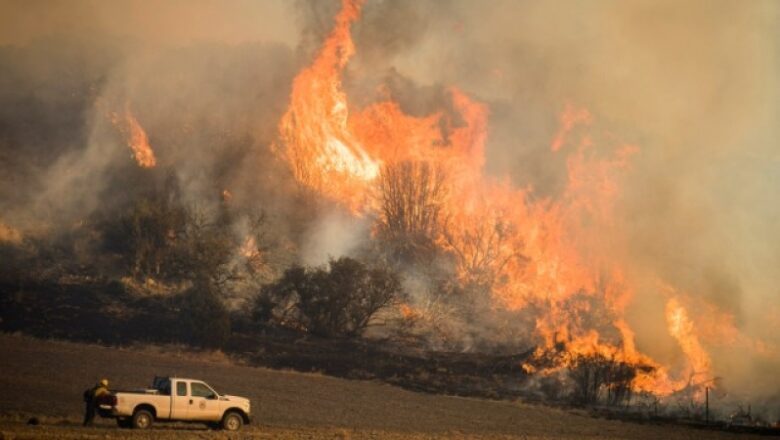 NASA Data Shows How Drought Changes Wildfire Recovery in the West