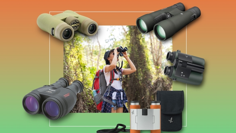 8 finest bird-watching field glasses in 2024