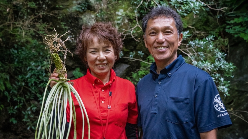 This couple gave up the city to grow wasabi in Japan’s mountains