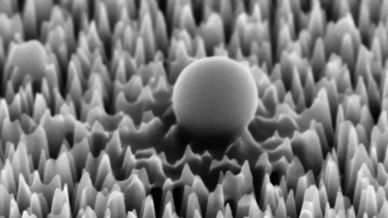 New material reduces the effects of 96-percent of infection cells utilizing nanospikes