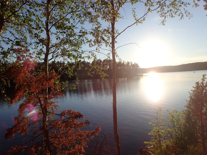 New method to keeping an eye on freshwater quality can recognize sources of contamination, forecast their results