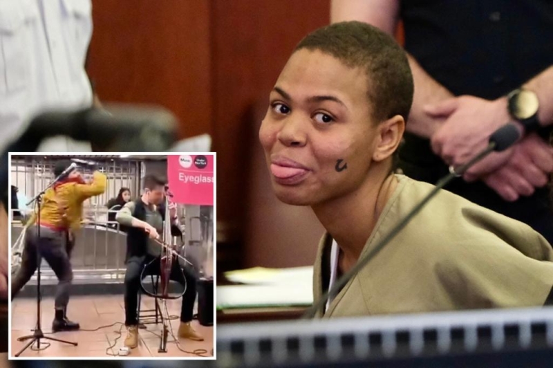 Supposed NYC train cellist assaulter pleads guilty– then alters her mind in strange court scene