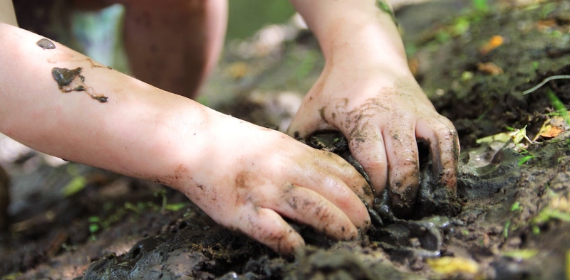 What Is Dirt? Take a look at The Whole twitching World Alive In The Ground Beneath Our Feet