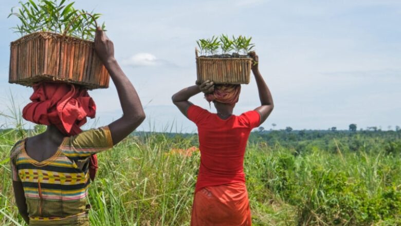 New online tool is very first to track financing to Indigenous, regional and Afro-descendant neighborhoods