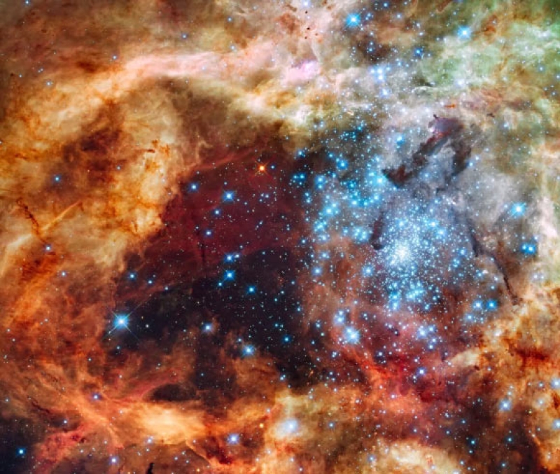 Hubble Space Telescope Focuses on Young Stars