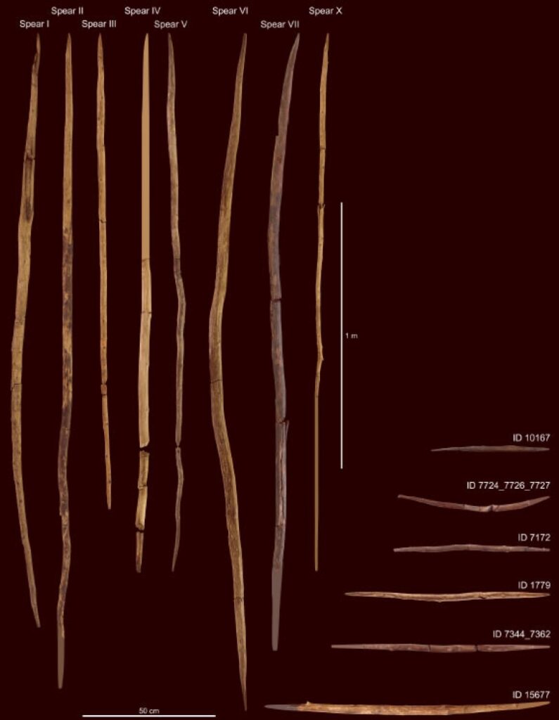 Research Study: Woodworking Played Important Role in Human Evolution