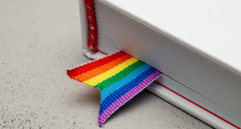 Do Not Hide the Pride– How to combat Censorship of Pride Month Library Displays